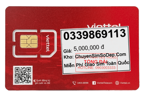 sim số 0339869113