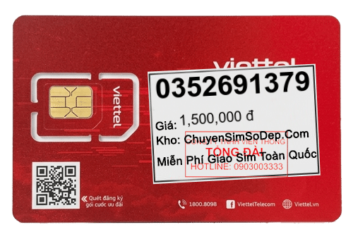 sim số 0352691379
