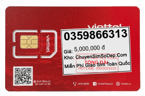 sim số 0359866313