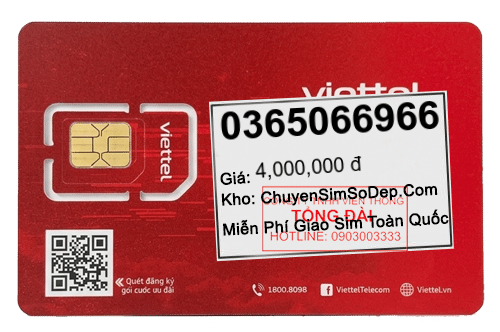 sim số 0365066966