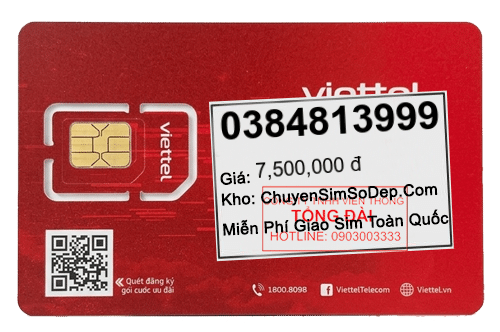 sim số 0384813999
