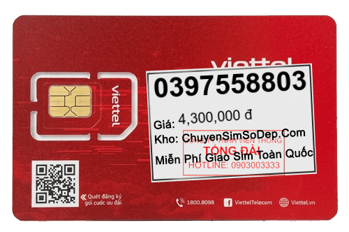 sim số 0397558803