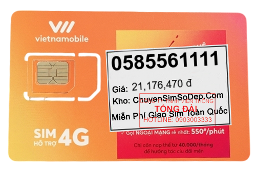 sim số 0585561111