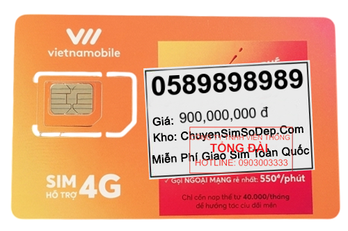 sim số 0589898989