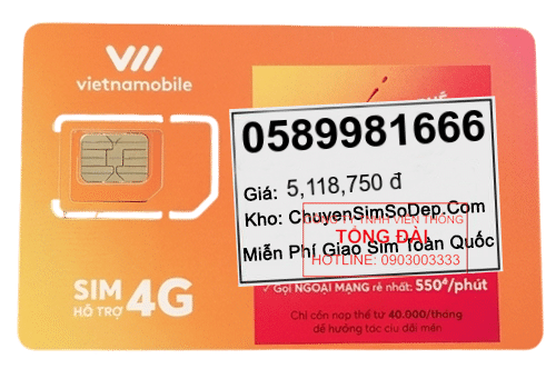 sim số 0589981666