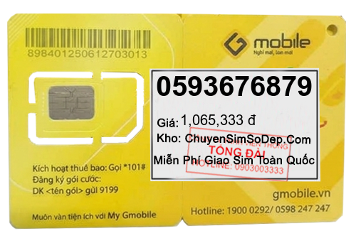 sim số 0593676879