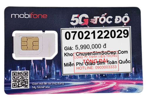 sim số 0702122029
