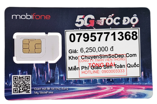 sim số 0795771368