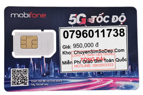 sim số 0796011738