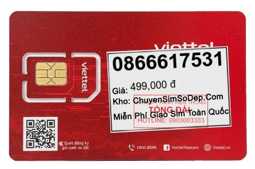 sim số 0866617531