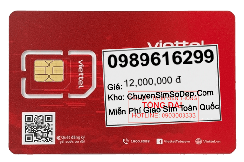 sim số 0989616299