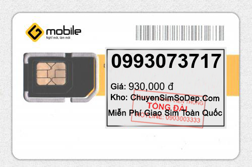 0993073717
