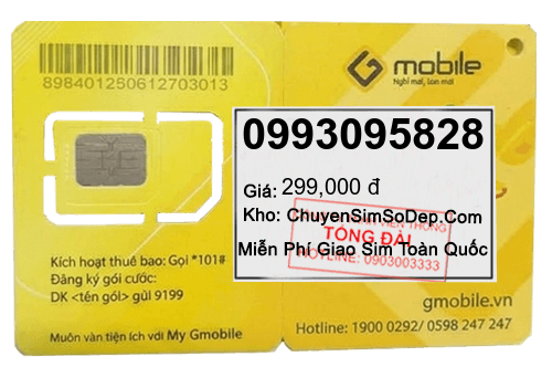 sim số 0993095828