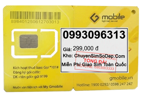 sim số 0993096313