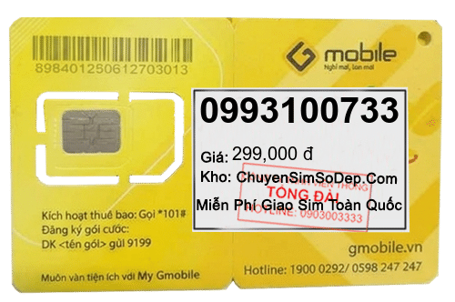 sim số 0993100733