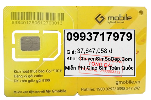 sim số 0993717979