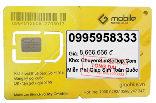 sim số 0995958333