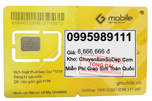 sim số 0995989111
