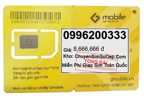 sim số 0996200333