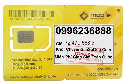 sim số 0996236888