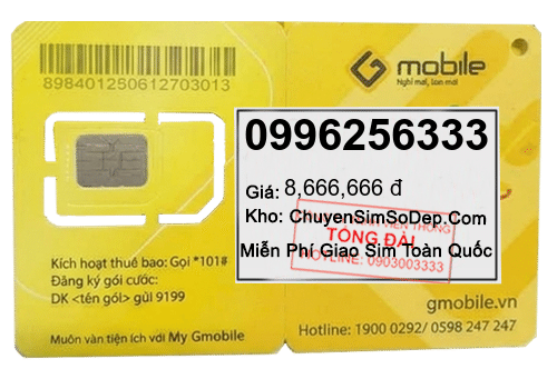 sim số 0996256333