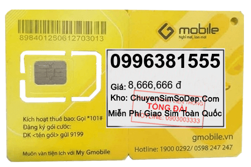 sim số 0996381555