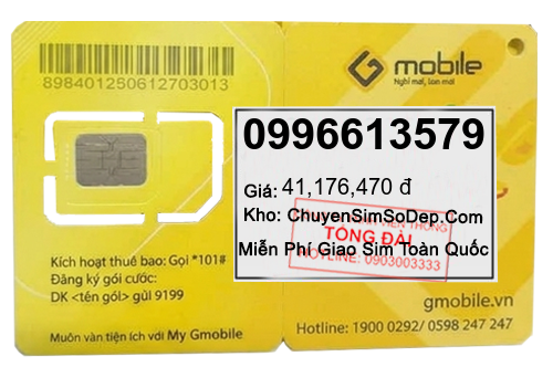 sim số 0996613579